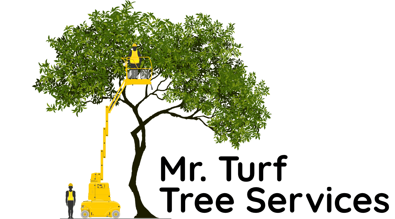 Mr. Turf Tree Services